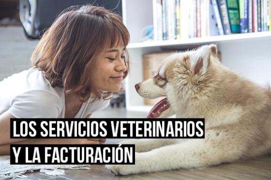 Los servicios veterinarios y la facturación